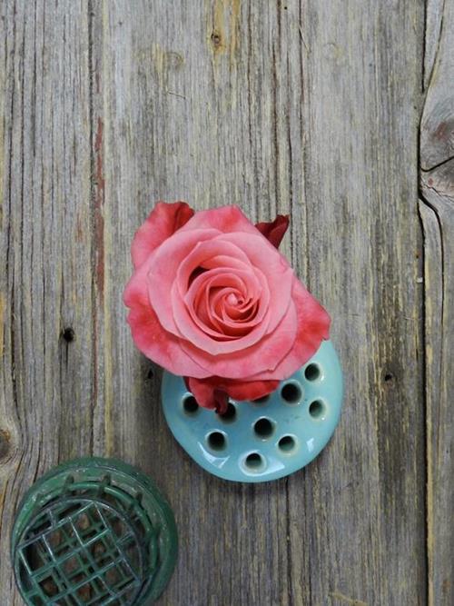 SATINA  CORAL ROSES